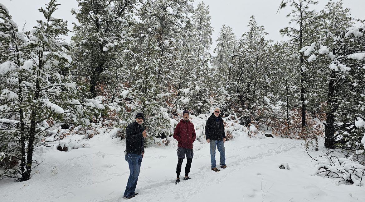 People hiking in snowy forest
