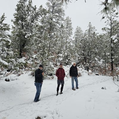 People hiking in snowy forest
