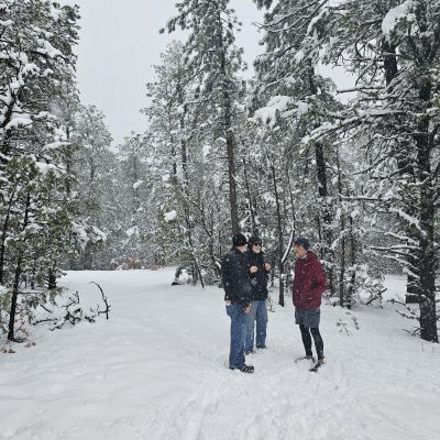 People walking in snowy forest pathway