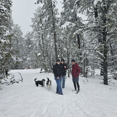People and dogs walking in snowy forest