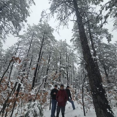 People hiking in snowy forest landscape