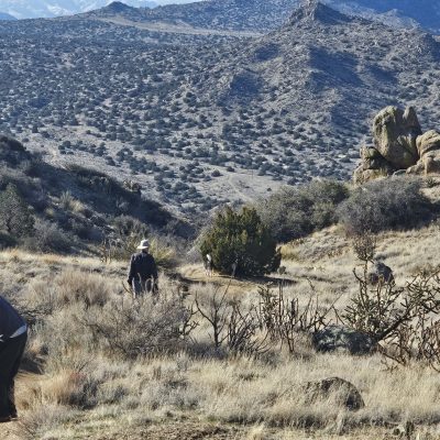 Hikers on scenic desert mountain trail