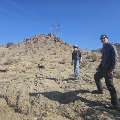 Hiking in desert with dogs under clear blue sky.