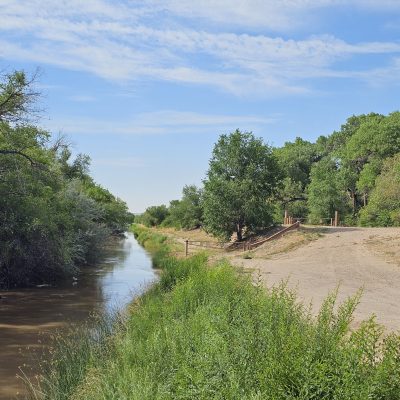 Dirt path alongside a leafy riverbank
