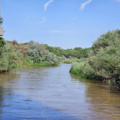 Serene river under blue sky and green trees.