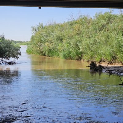 River under bridge surrounded by lush greenery.