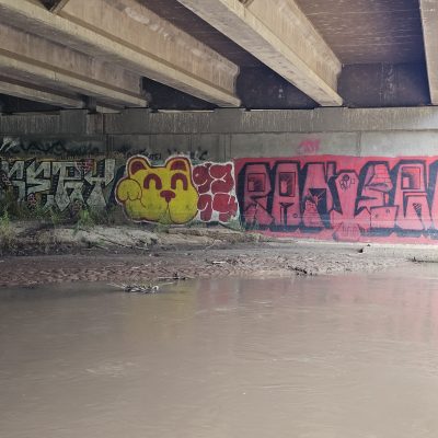 Graffiti art under bridge by muddy riverbank.