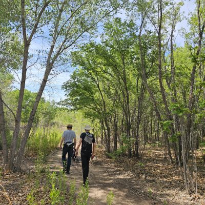 Two people hiking on forest trail in summer.