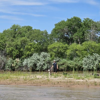 Person with dogs by a forested riverside.