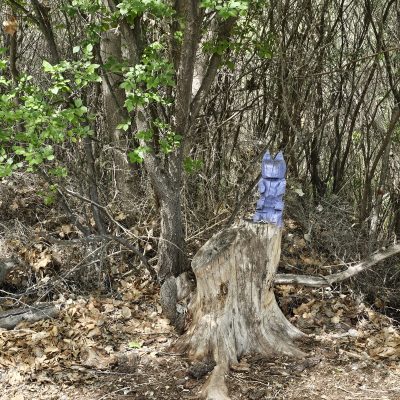 Wooden cat sculpture on tree stump in forest