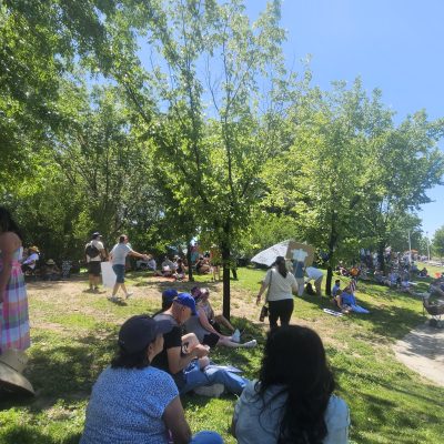 People gathering in a sunny park with trees.