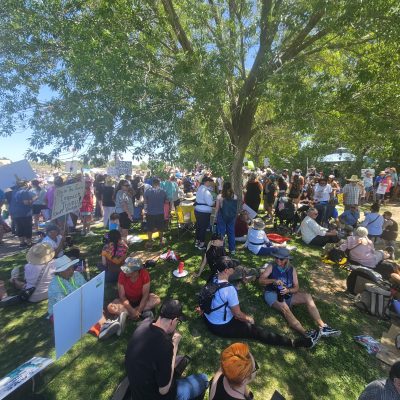 Large group of people gathering under tree at protest.