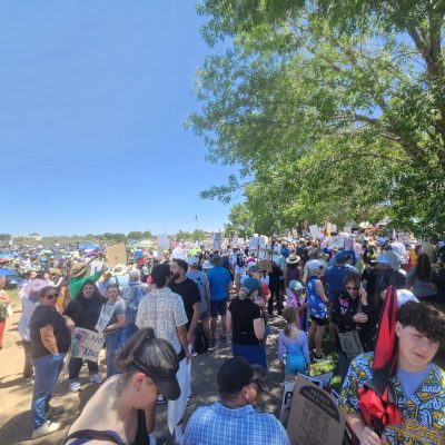 Large crowd at outdoor protest with signs.